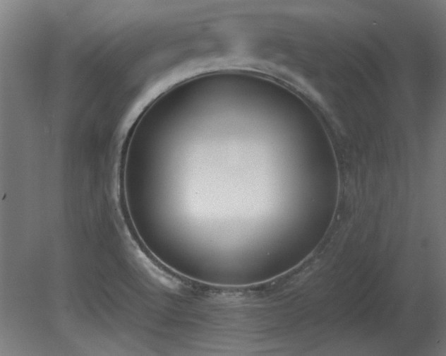 X0000081291512200701111345