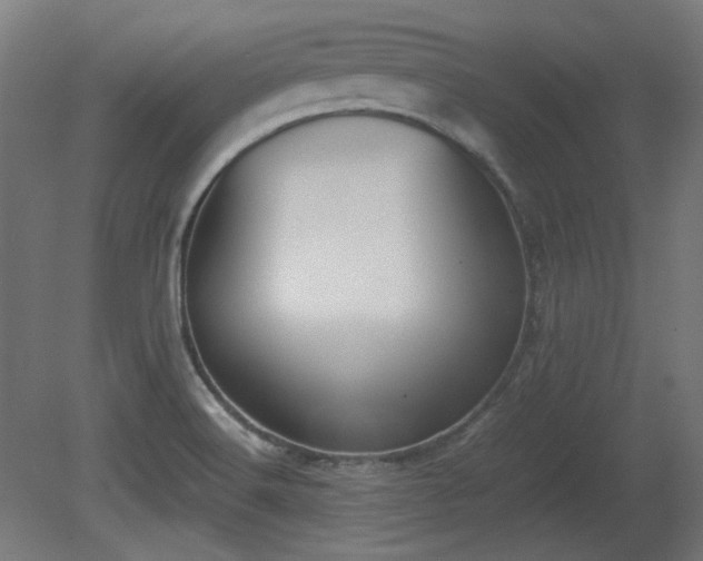 X0000081291516200701111345