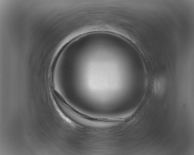X0000081291519200701111345