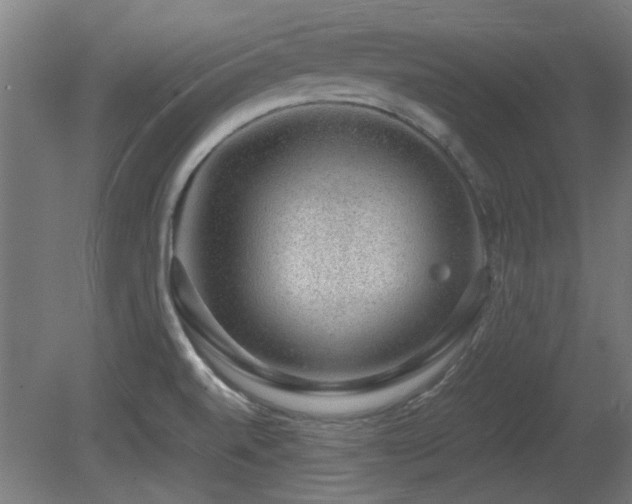 X0000081291520200701111345