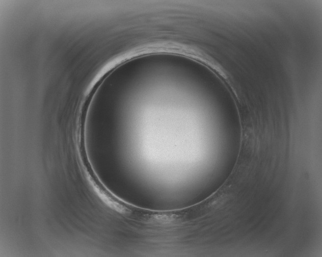X0000081291523200701111345