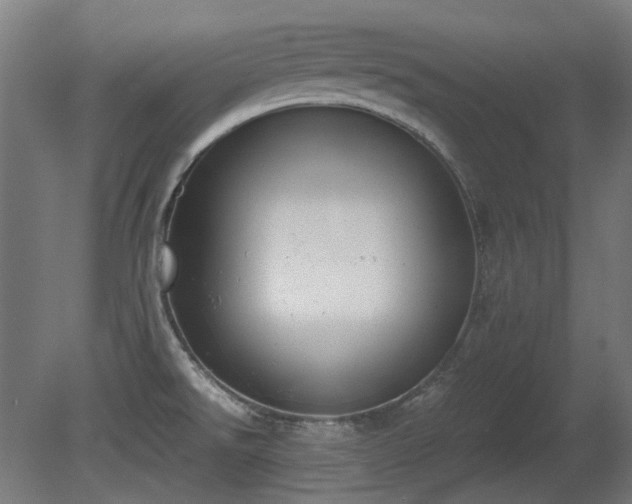 X0000081291526200701111345