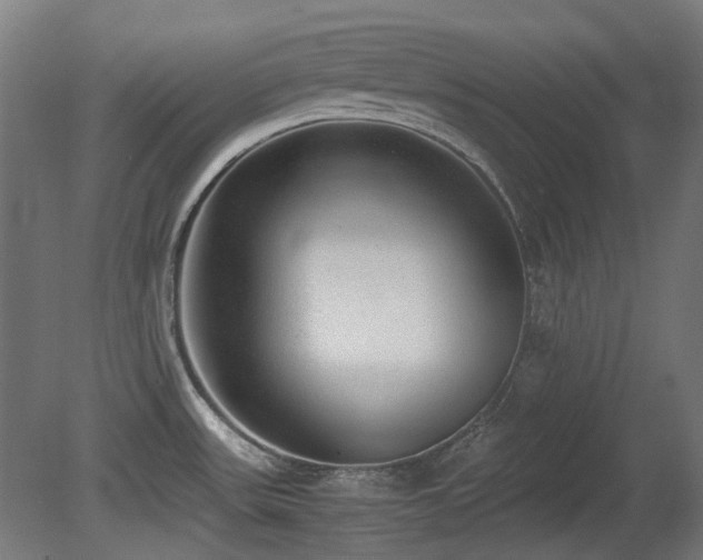 X0000081291531200701111345
