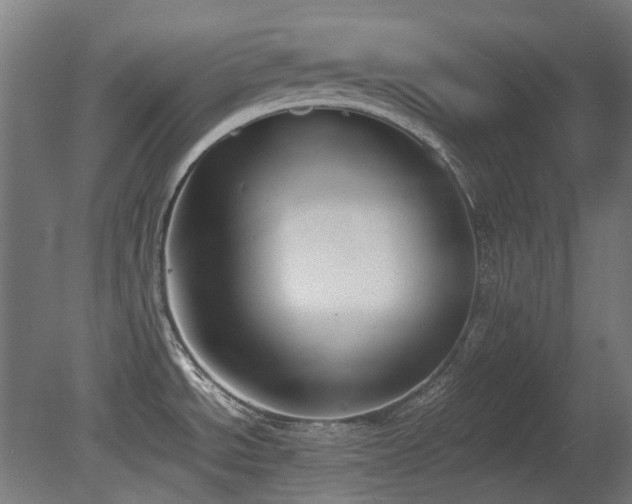 X0000081291534200701111345