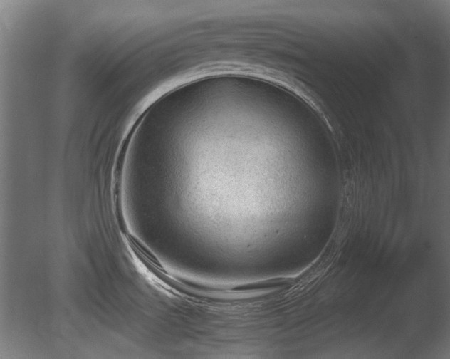 X0000081291535200701111345