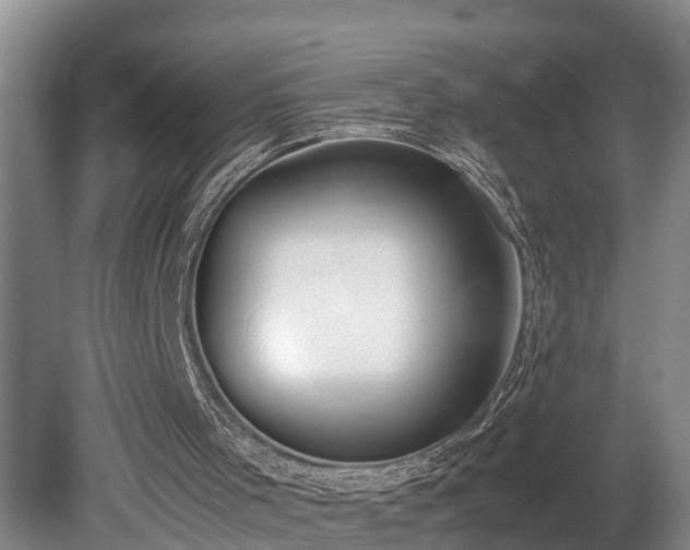 X0000081290001200701181821