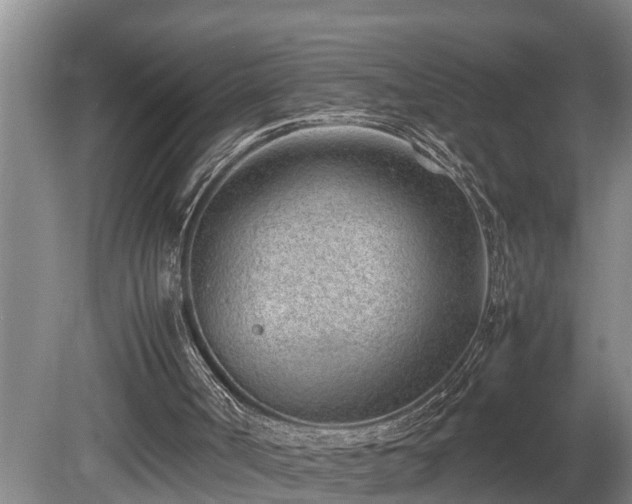 X0000081290002200701181821