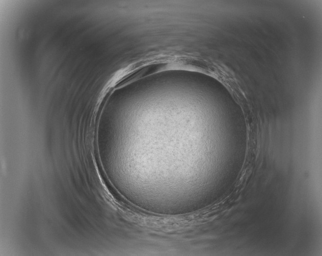 X0000081290003200701181821