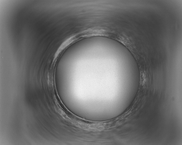 X0000081290004200701181821