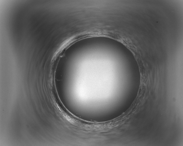 X0000081290005200701181821