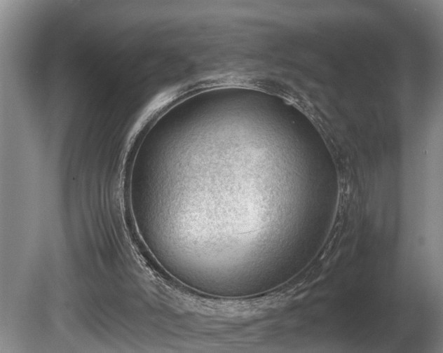 X0000081290006200701181821