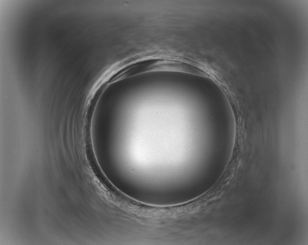 X0000081290007200701181821