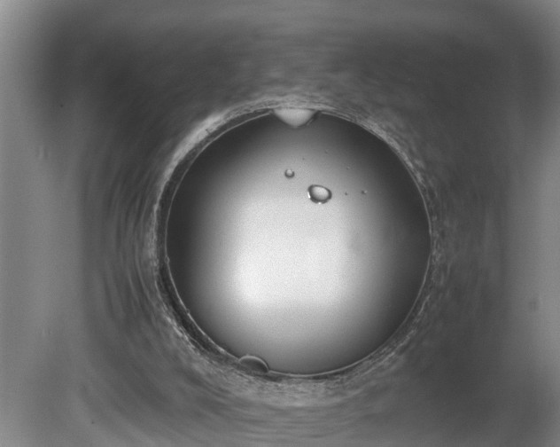 X0000081290008200701181821