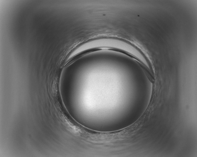 X0000081290009200701181821