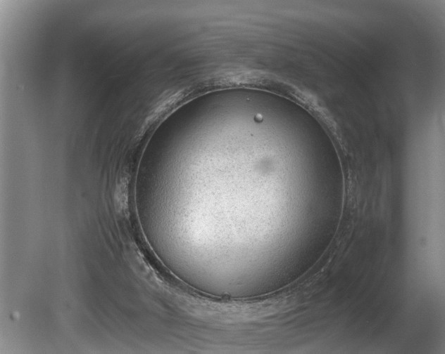 X0000081290010200701181821