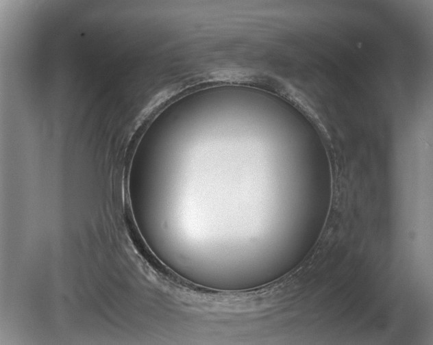 X0000081290011200701181821