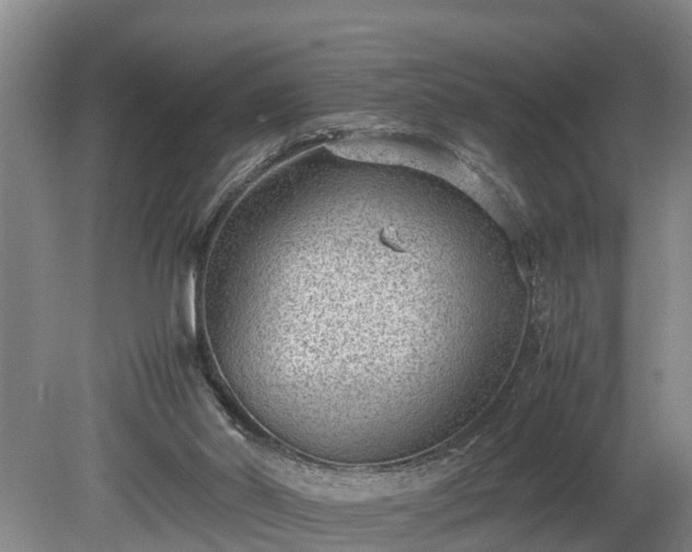 X0000081290014200701181821