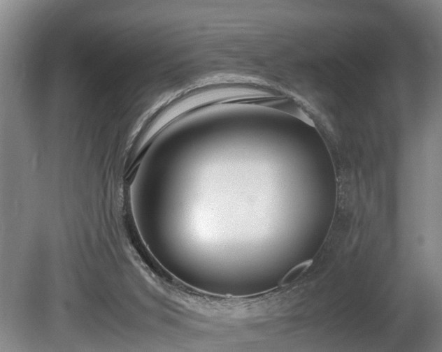 X0000081290015200701181821