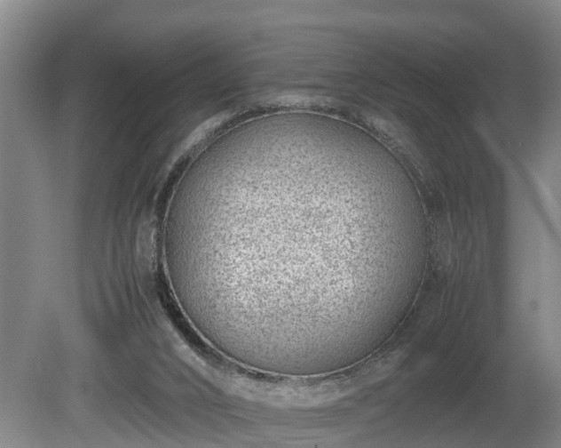 X0000081290016200701181821