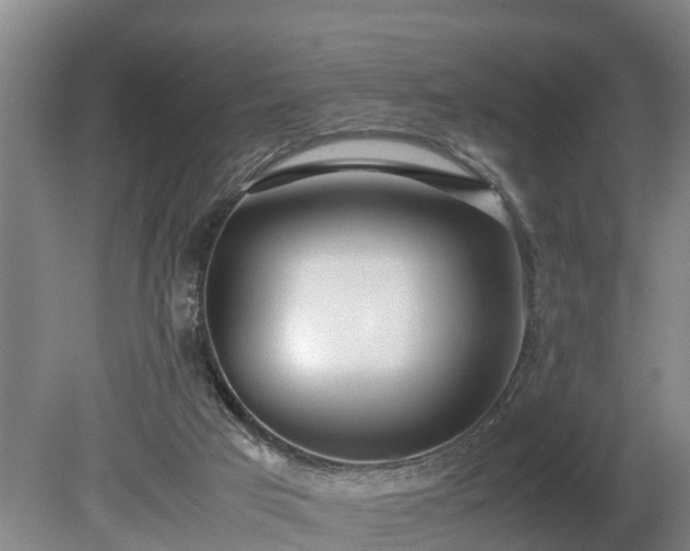 X0000081290017200701181821