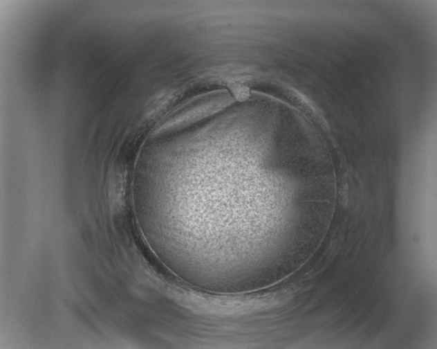 X0000081290018200701181821