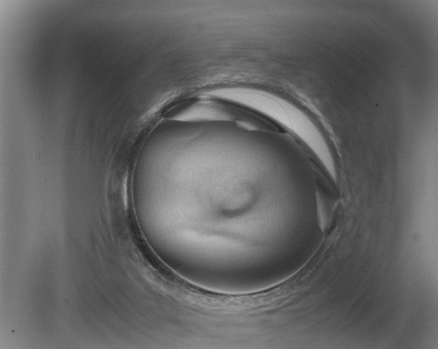 X0000081290019200701181821