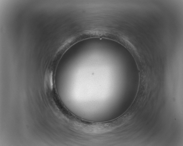 X0000081290020200701181821