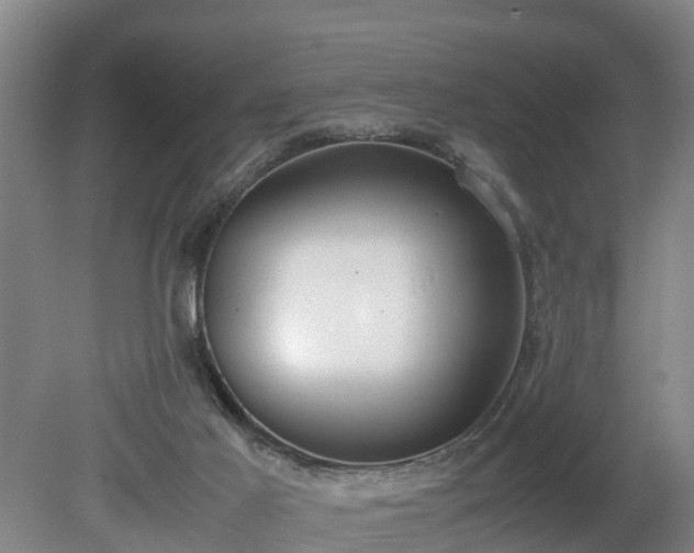 X0000081290021200701181821