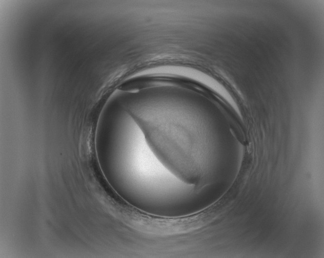 X0000081290023200701181821