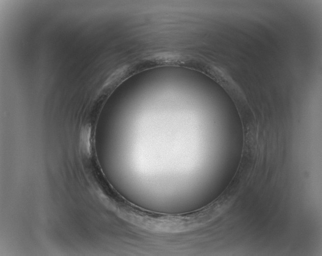 X0000081290024200701181821