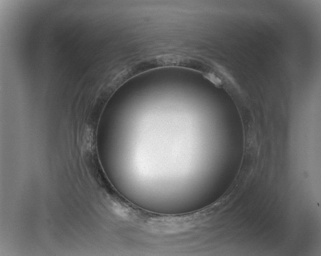 X0000081290025200701181821