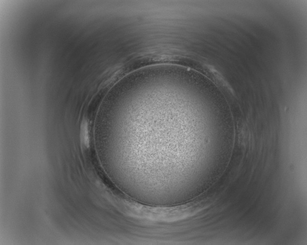 X0000081290026200701181821