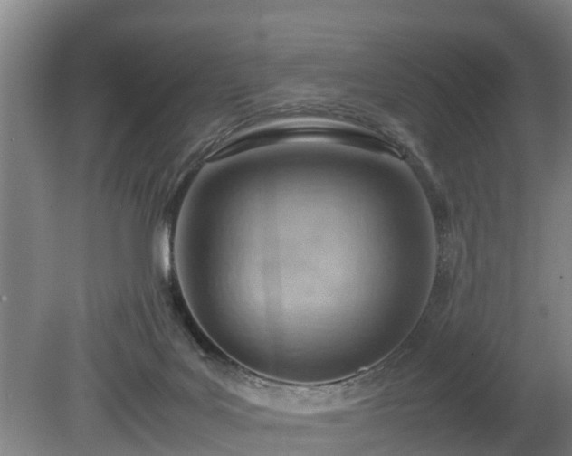 X0000081290027200701181821