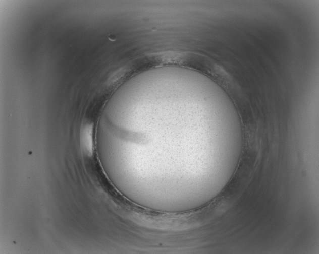 X0000081290028200701181821