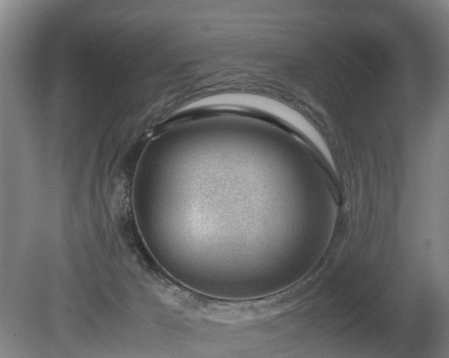 X0000081290029200701181821