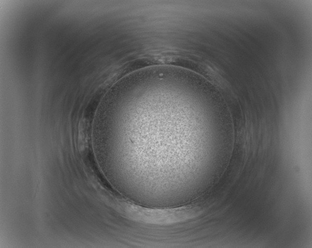 X0000081290030200701181821