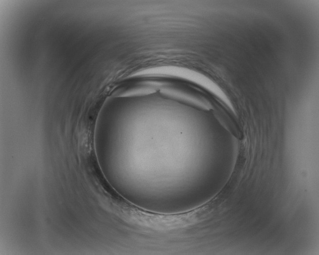 X0000081290031200701181821