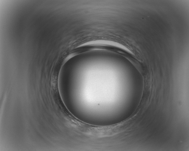 X0000081290033200701181821