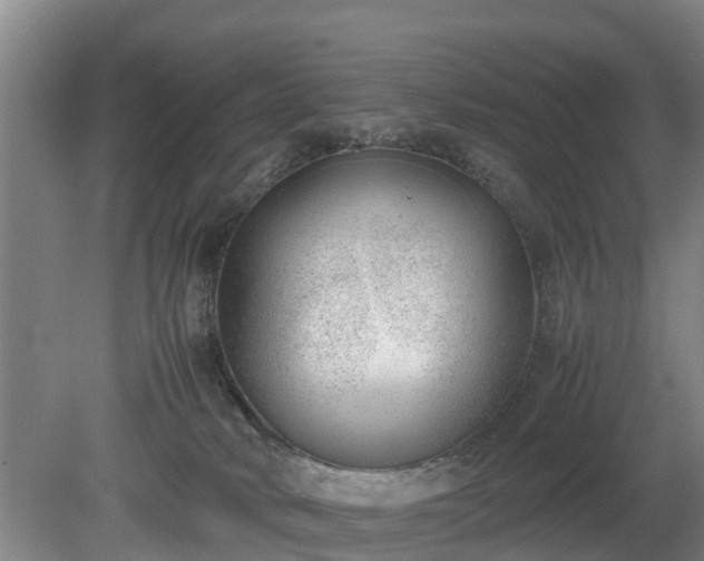 X0000081290034200701181821