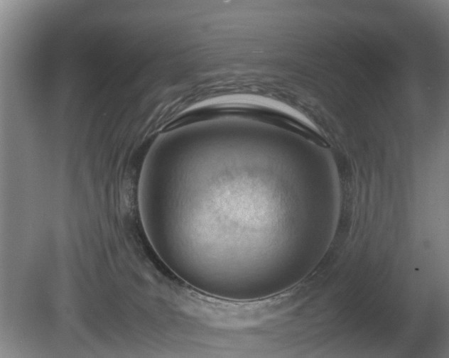 X0000081290035200701181821