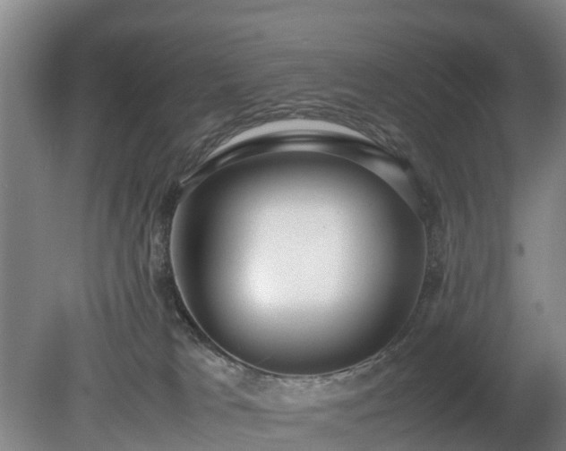 X0000081290037200701181821