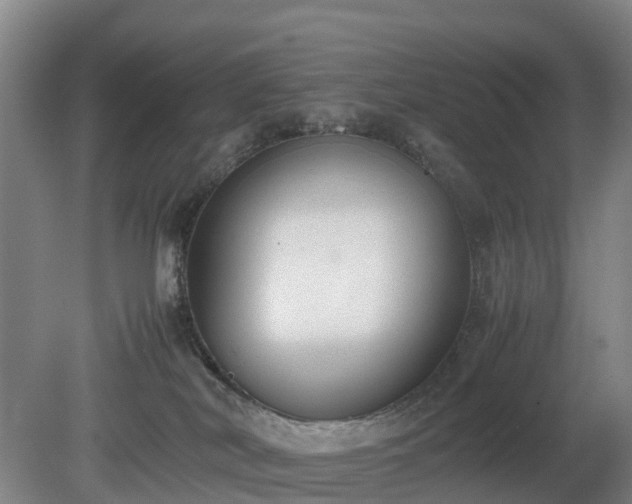 X0000081290038200701181821