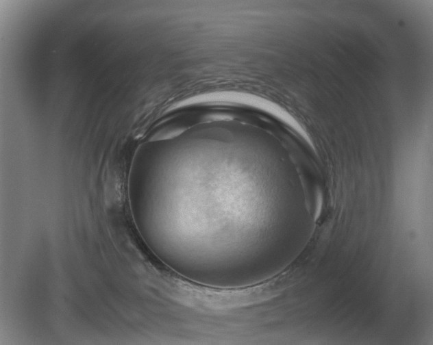 X0000081290039200701181821