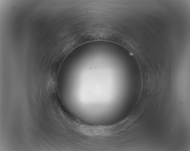 X0000081290040200701181820