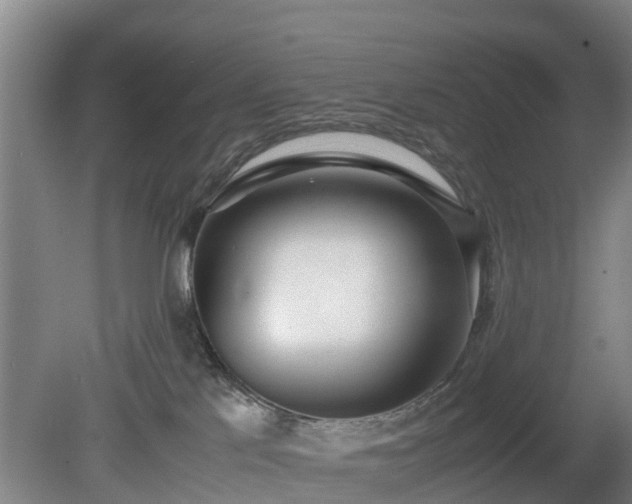 X0000081290041200701181820