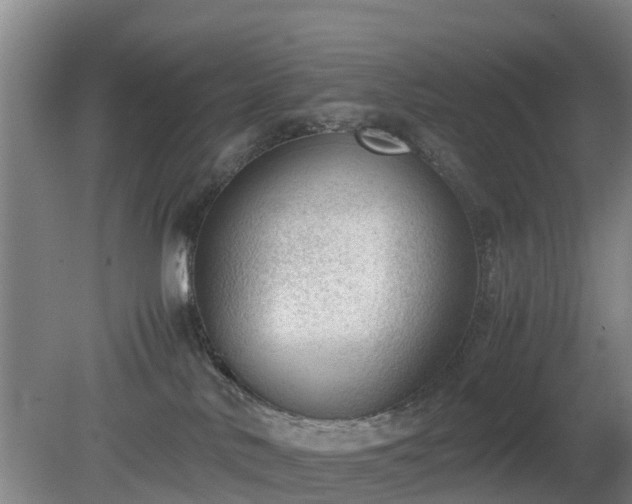 X0000081290042200701181820