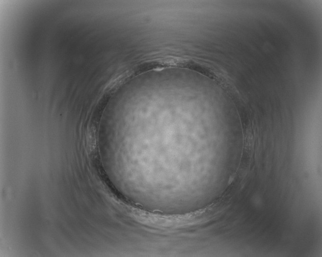 X0000081290043200701181820