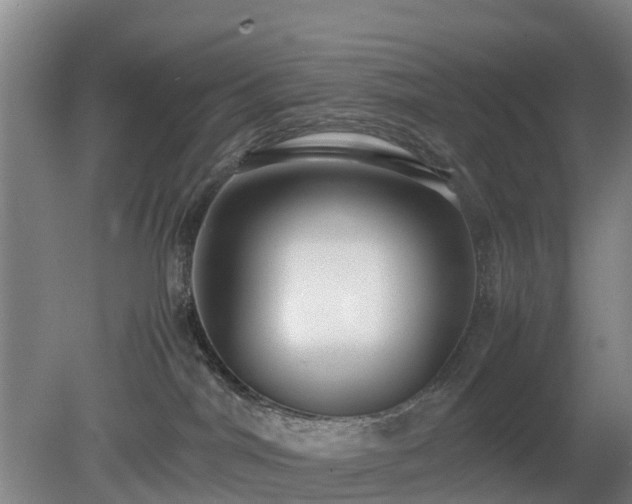 X0000081290044200701181820