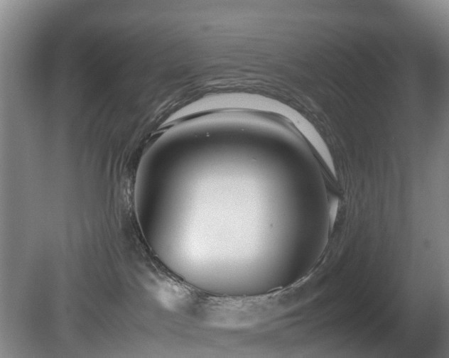 X0000081290045200701181820