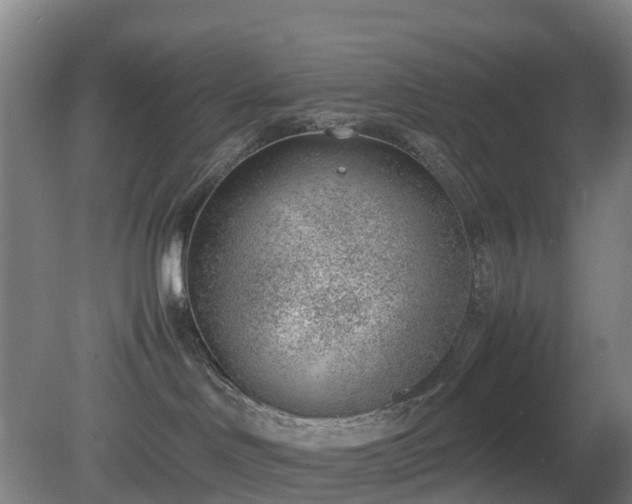 X0000081290046200701181820